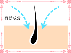 スリムアップ脱毛で使用する特製の鎮静ローション
